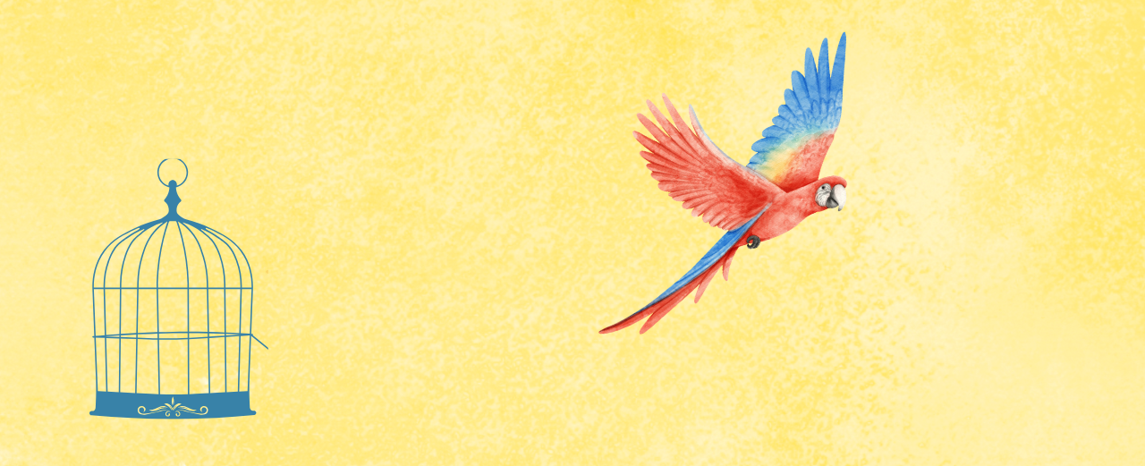 The Parrot’s Question to the Sage