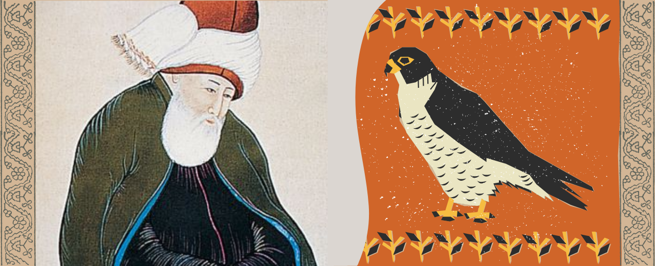 The Royal Falcon and the Old Woman