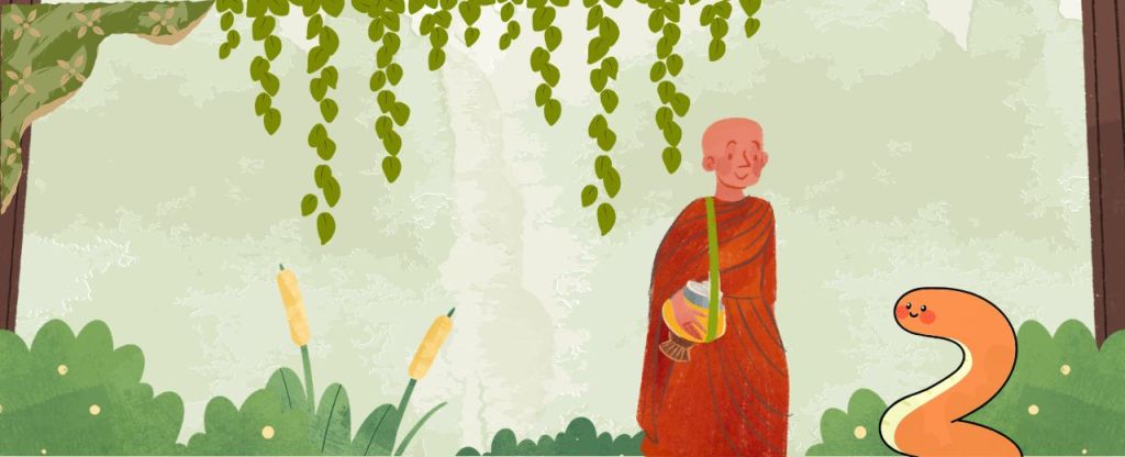 Can Kindness Become Weakness? | The Snake Who Stopped&nbsp;Biting